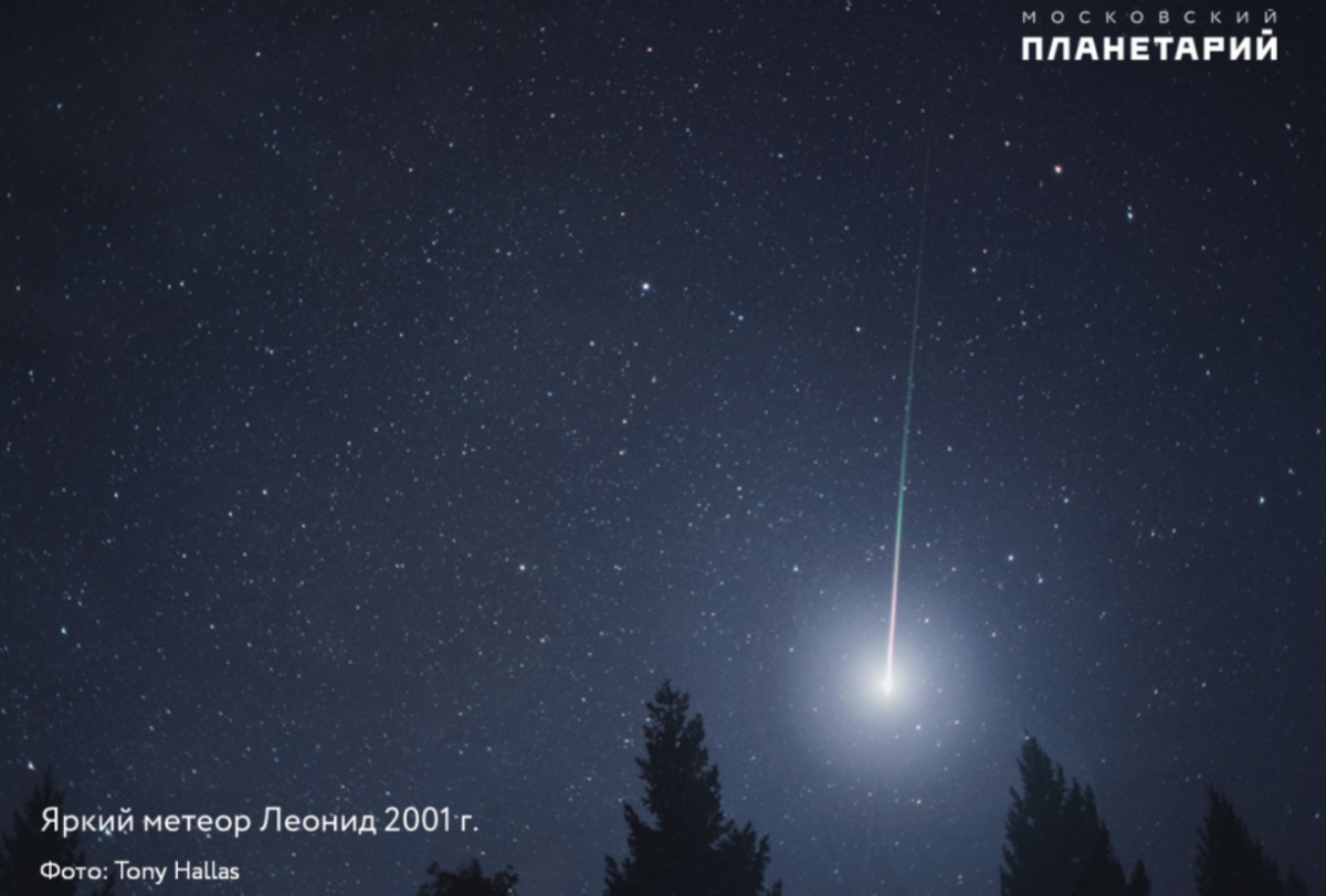 Пик звездопада Леониды смогут наблюдать нижегородцы в ночь на 18 ноября